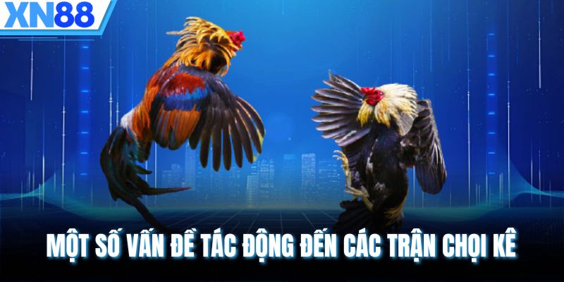 Một số vấn đề tác động đến các trận chọi kê