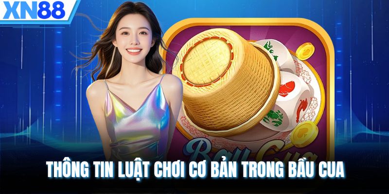 Thông tin luật chơi cơ bản trong Bầu Cua 